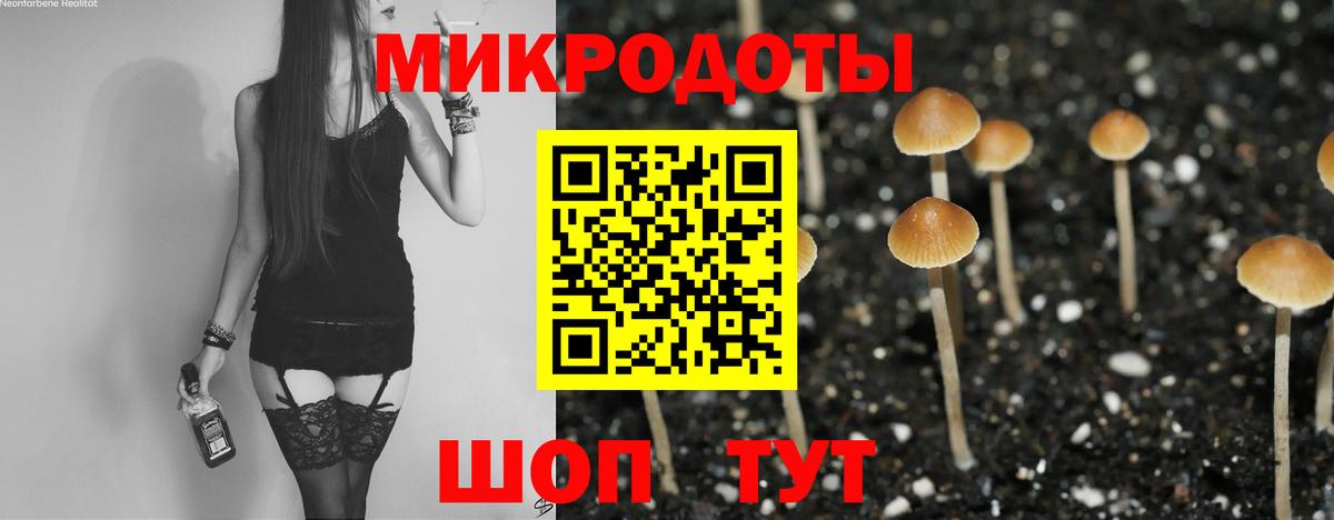 Галлюциногенные грибы MAGIC MUSHROOMS Зеленодольск